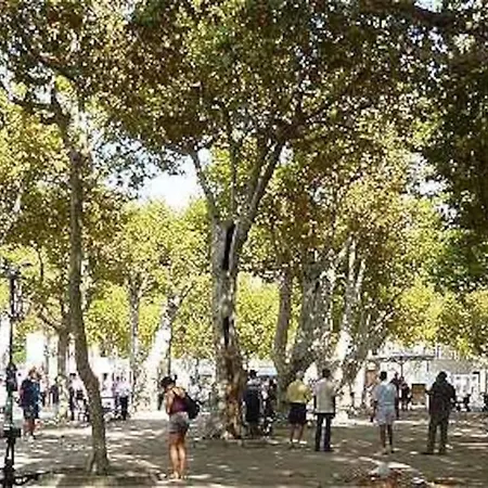 דירה Tropez Hip T4 Centre Piscine Parking 100 M סן טרופז